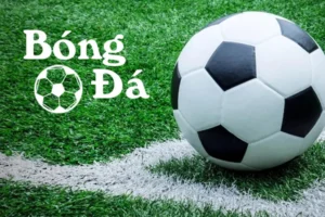 Cách Phân Biệt Bóng Trong Cuộc Và Bóng Ngoài Cuộc Chính Xác Nhất