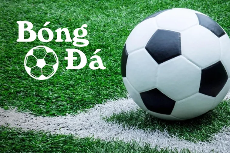 Cách Phân Biệt Bóng Trong Cuộc Và Bóng Ngoài Cuộc Chính Xác Nhất 1 Cách Phân Biệt Bóng Trong Cuộc Và Bóng Ngoài Cuộc Chính Xác Nhất