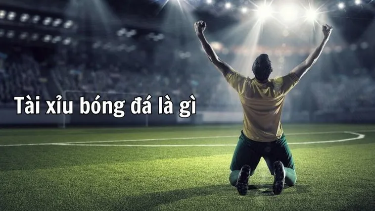 Cách Soi Kèo Tài Xỉu Bóng Đá Hiệu Quả Từ Các Chuyên Gia Hàng Đầu 2 Cách Soi Kèo Tài Xỉu Bóng Đá Hiệu Quả Từ Các Chuyên Gia Hàng Đầu