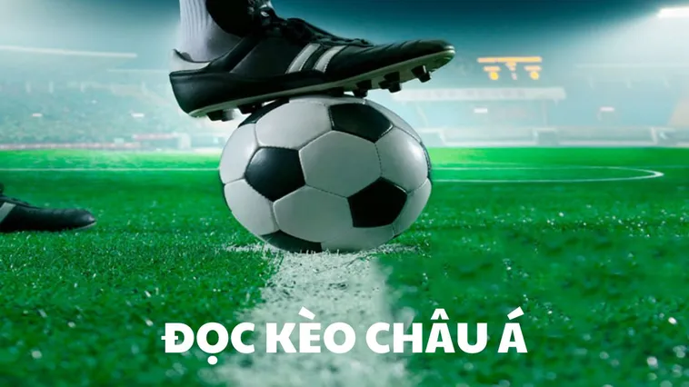 Chiến Thuật Chinh Phục Kèo Châu Á Đỉnh Cao Từ Các Chuyên Gia Hàng Đầu 2 Chiến Thuật Chinh Phục Kèo Châu Á Đỉnh Cao Từ Các Chuyên Gia Hàng Đầu