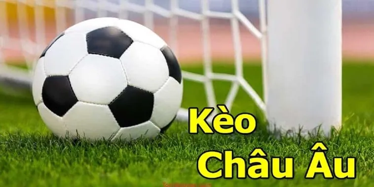 Phương Pháp Soi Kèo Châu Âu Hiệu Quả Nhất Cho Người Mới Bắt Đầu 1 Phương Pháp Soi Kèo Châu Âu Hiệu Quả Nhất Cho Người Mới Bắt Đầu
