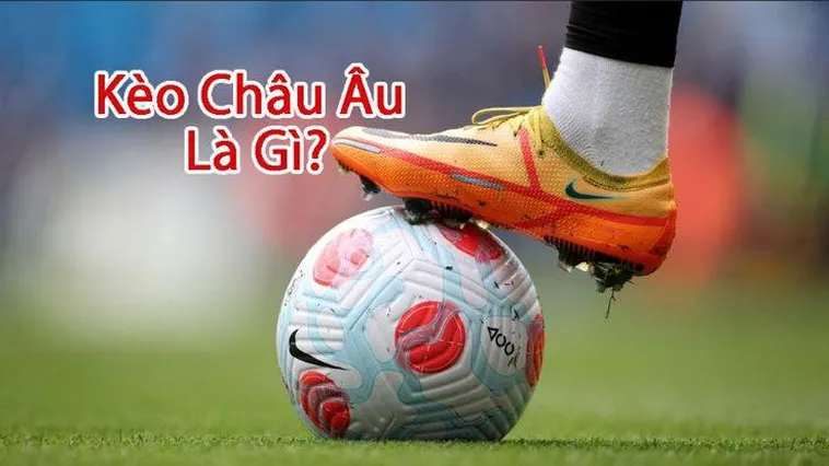 Phương Pháp Soi Kèo Châu Âu Hiệu Quả Nhất Cho Người Mới Bắt Đầu 2 Phương Pháp Soi Kèo Châu Âu Hiệu Quả Nhất Cho Người Mới Bắt Đầu