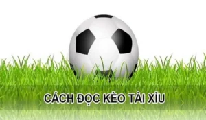 Chiến Thuật Chinh Phục Kèo Tài Xỉu Hiệp 1 Hiệu Quả Nhất
