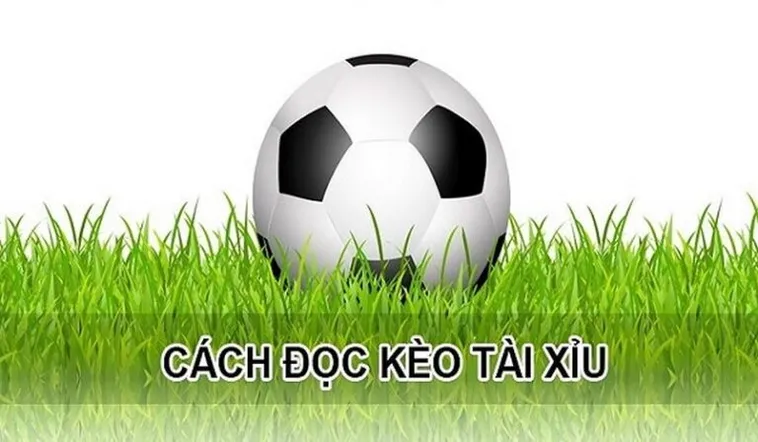 Chiến Thuật Chinh Phục Kèo Tài Xỉu Hiệp 1 Hiệu Quả Nhất 1 Chiến Thuật Chinh Phục Kèo Tài Xỉu Hiệp 1 Hiệu Quả Nhất