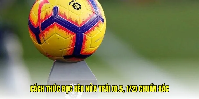 Chiến Thuật Đánh Kèo Chấp 0.5 Giúp Gia Tăng Tỷ Lệ Thắng Lớn