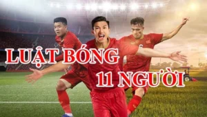 Luật Sân Bóng Đá Thi Đấu Và Quy Chuẩn Kích Thước Sân Cỏ Quốc Tế