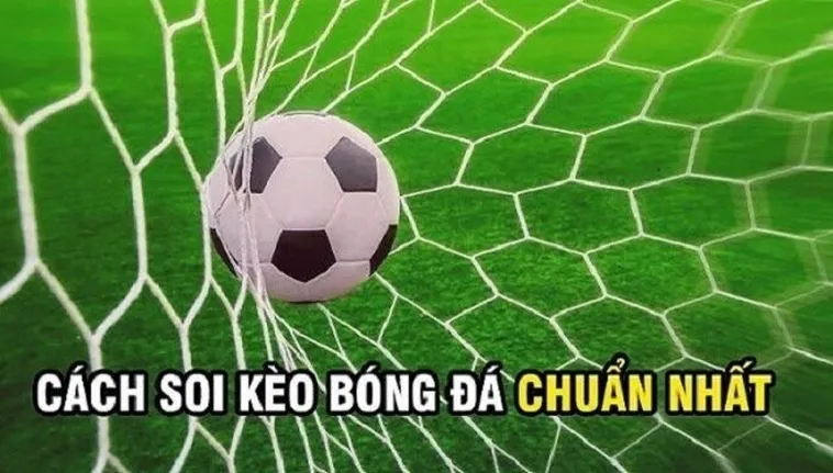 Bí Quyết Chơi Kèo Rung Trong Bóng Đá Để Đạt Hiệu Quả Cao Nhất 2 Bí Quyết Chơi Kèo Rung Trong Bóng Đá Để Đạt Hiệu Quả Cao Nhất